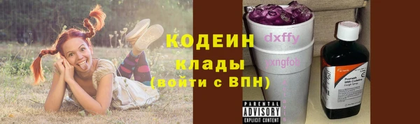 прущие грибы Алзамай