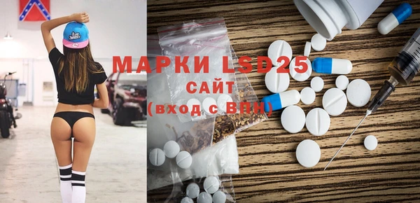 прущие грибы Алзамай