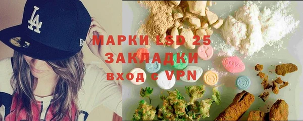 прущие грибы Алзамай