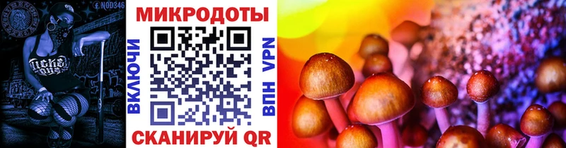 Галлюциногенные грибы Psilocybe  как найти закладки  Оса 